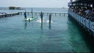 Acuario San Martín Islas del Rosario Colombia  Parte 2 TvAgro por Juan Gonzalo Angel [upl. by Pacheco]