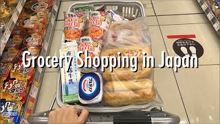 Grocery Shopping Trips in Japan 🛒 Summary of Late October Shopping 🎵 [upl. by Johna497]