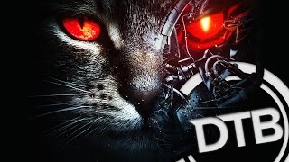 Excision amp Downlink  Robo Kitty [upl. by Marba93]