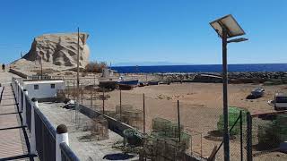 Tajao Harbour and the LA CALETA IGNIMBRITE of South Tenerife [upl. by Kcirdec580]