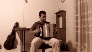 Swallowtail Jig  Diatonic Accordion Cover [upl. by Ahsla]