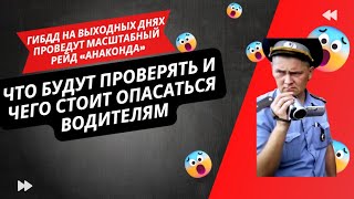 Сотрудники ГИБДД на выходных днях проведут масштабный рейд «Анаконда» [upl. by Lanctot163]