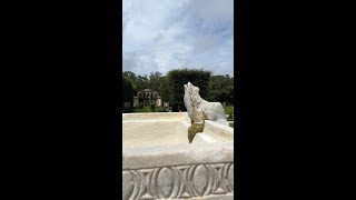 Meet Vizcayas frog fountain 🐸 [upl. by Atahs]