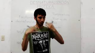 Proteínas Parte 4  Desnaturalización proteica  Biomoléculas [upl. by Waki]