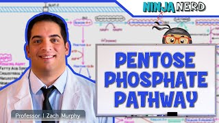 Metabolism  Pentose Phosphate Pathway [upl. by Hans]