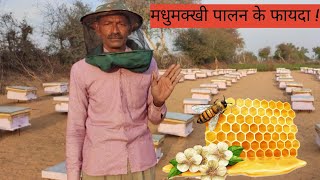 बीकीपिंग के ये 5 लाभ आपको दंग कर देंगे agriculture apicultura honey [upl. by Sirrom]