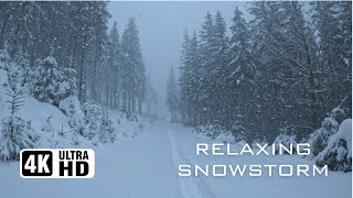 Cozy 3Hour Snowfall Ambience Winter Wonderland Overcome Stress Nature Sounds 4K UHD [upl. by Ennazus22]