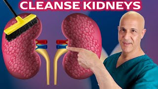 How do your kidneys work  Emma Bryce [upl. by Eirrac]