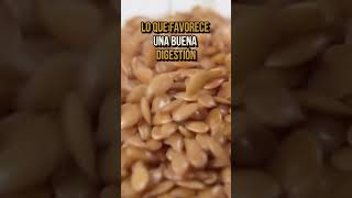 Los Secretos de la Linaza para una Vida Saludable alimentosnutricion [upl. by Annnora]