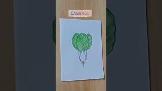 How to Draw a Vegetable Cabbage  easy drawing for kids drawing viral shorts [upl. by Nyledaj744]