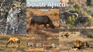 Pilanesberg National Park Animal Safari amp Bakubung Bush Lodge  South Africa Episode 02 [upl. by Reltuc]