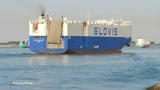 Glovis Sunlight  IMO 9798416  Maasvlakte Ship Spotting 4K [upl. by Gnil]