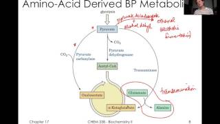 TCA Cycle Reguation and Glyoxylate Cycle [upl. by Giff]