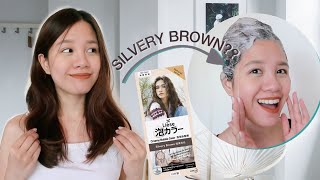 Liese Silvery Brown DIY Creamy Bubble Hair Color Review PH [upl. by Ayotas449]