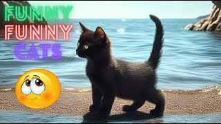 Funny Cat Videos Compilation😹 Funny Cat Videos Try Not To Laugh😂The Funniest Cat Videos In The World [upl. by Iot]