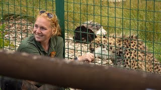 The Big Cat Sanctuary Open Day  Magic Lantern Raw Canon 5D Mark III [upl. by Eluk]