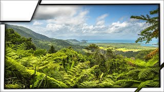 Daintree Rainforest Australia  The Oldest Forest In The World [upl. by Clift]