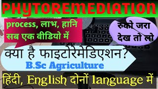 what is phytoremediation PHYTOREMEDIATION PHYTOREMEDIATION in hindi phytoremediation kya h [upl. by Eerehc]