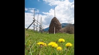 Iarbă verde fân cosit dor de România mea [upl. by Templer]