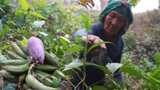 Our traditional lifestyle in Nagaland farmers farmers lunch [upl. by Rothstein]