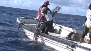 Team  Gauguins Pearl Farm  Rangiroa [upl. by Quentin]