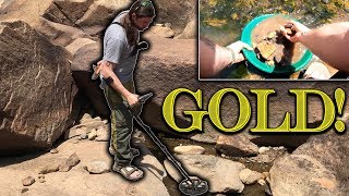 INSANE AUSTRALIAN GOLD Gold Prospecting with a Metal Detector with Busted Knuckles Prospecting [upl. by Nauqet]