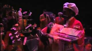 Afro Cuban All Stars  Amor Verdadero  Absolutely Live by Lucas Vazquez [upl. by Gayleen]