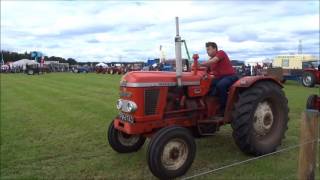 Nairn Show Kinnudie Farm Auldearn 30072016 Vintage Tractor Display [upl. by Lauro]