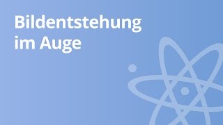 Physik Bildentstehung im Auge  physikalischer Hintergrund  Physik  Optik [upl. by Veneaux]