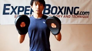 Boxing Mittwork Training Theory [upl. by Kwapong886]