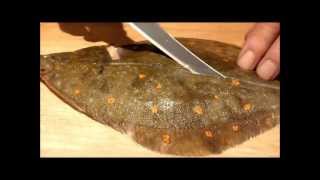 Filleting a plaice [upl. by Map]