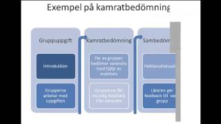 Video Formativ bedömning med Andreia BAlan [upl. by Gorey]