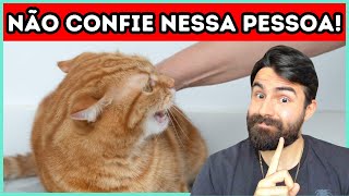 Como Seu Gato Pode RECONHECER E ALERTÁLO Sobre Pessoas RUINS [upl. by Anibur]