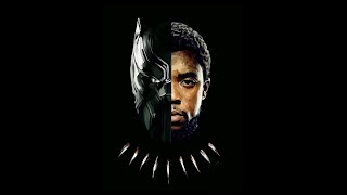 Chadwick Boseman A Tribute For A King [upl. by Amlas349]