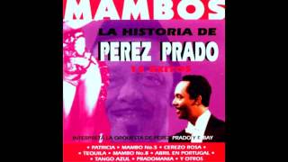 PEREZ PRADO  ♫♫ GRANDES EXITOS ♫♫ [upl. by Meekar742]