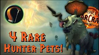 Get these 4 Rare Hunter Pets in the War Within [upl. by Ellicec361]