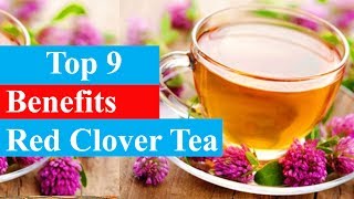 Top 9 Benefits of Red Clover Tea  Health Benefits  Smart Your Health [upl. by Margarita611]