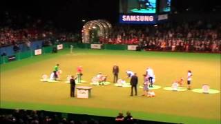 Best In Show Crufts 2009 [upl. by Nomyt]