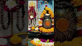 Karthika somavaram song brahmamurarisurarchitalingam karthikamasam lordshiva shortsfeed 1m [upl. by Ennaj455]