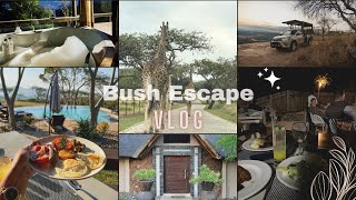 Getaway Vlog  Quick Baecation  Sunset Game Drive  Luxury Safari Suite  South African YouTuber [upl. by Ahsiuqram]