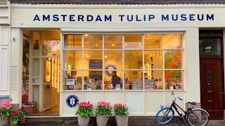 Amsterdam Tulip Museum  History Culture Commerce amp Bulb Shopping [upl. by Marpet]