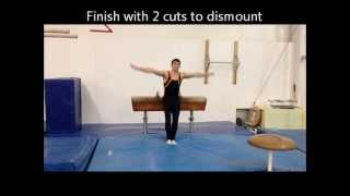 Level 4 Pommel Horse Routine 20122016 Season [upl. by Charmain]