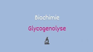 La glycogenolyse BIOCHIMIE Approfondie [upl. by Christiane]