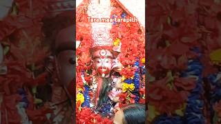 মাগো আনন্দময়ী🌺Maago Anandomoyee🔥 Shyama Sangeet  mahakali kalipuja kalighat tarapith shorts [upl. by Nnairb]