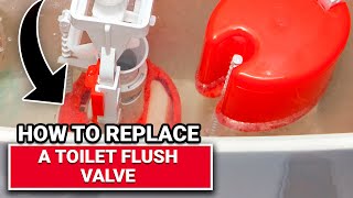 How to Replace a Old Toilet Shut Off ValveRIGHT TOOLS FOR THE JOB [upl. by Teddy]