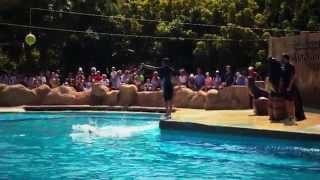 Rancho Texas Lanzarote Park Bak Films [upl. by Leirad]