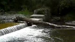 Fiume FridoParco nazionale del Pollino [upl. by Inus621]