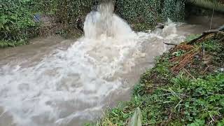 Draperstown Storm Drain Full Flood [upl. by Latvina101]