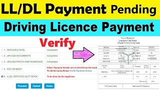 driving licence payment pending  lldl payment pending solution  dl payment verify kaise kare [upl. by Amri]