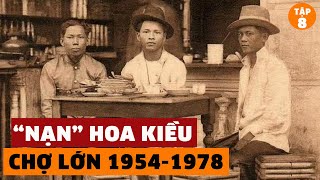 Tập 8 Tiểu quốc Hoa Kiều bị VNCH xử lý còn miền bắc chật vật ra sao từ năm 19541978 [upl. by Pedaias]